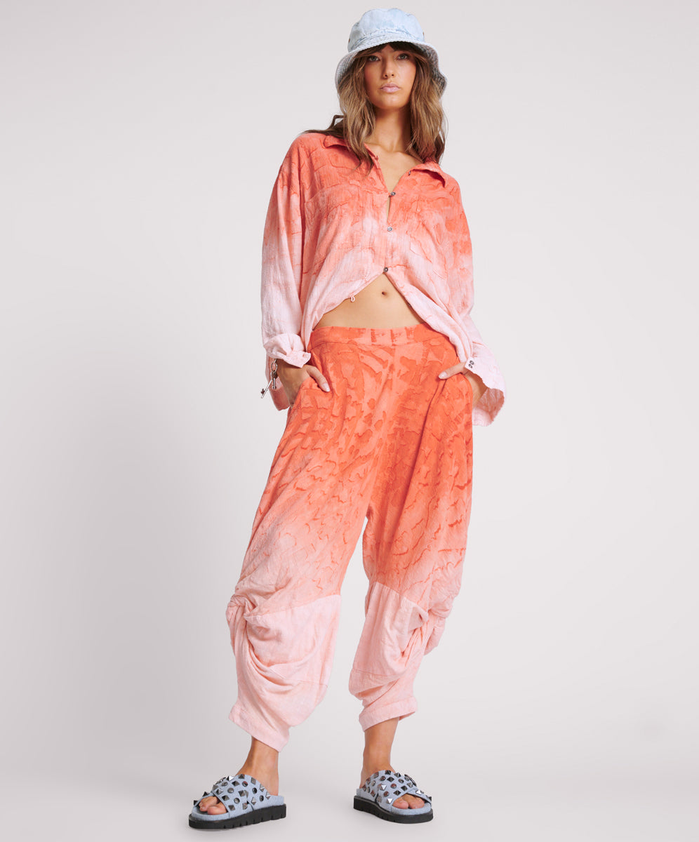 26840_CORAL_1.jpg