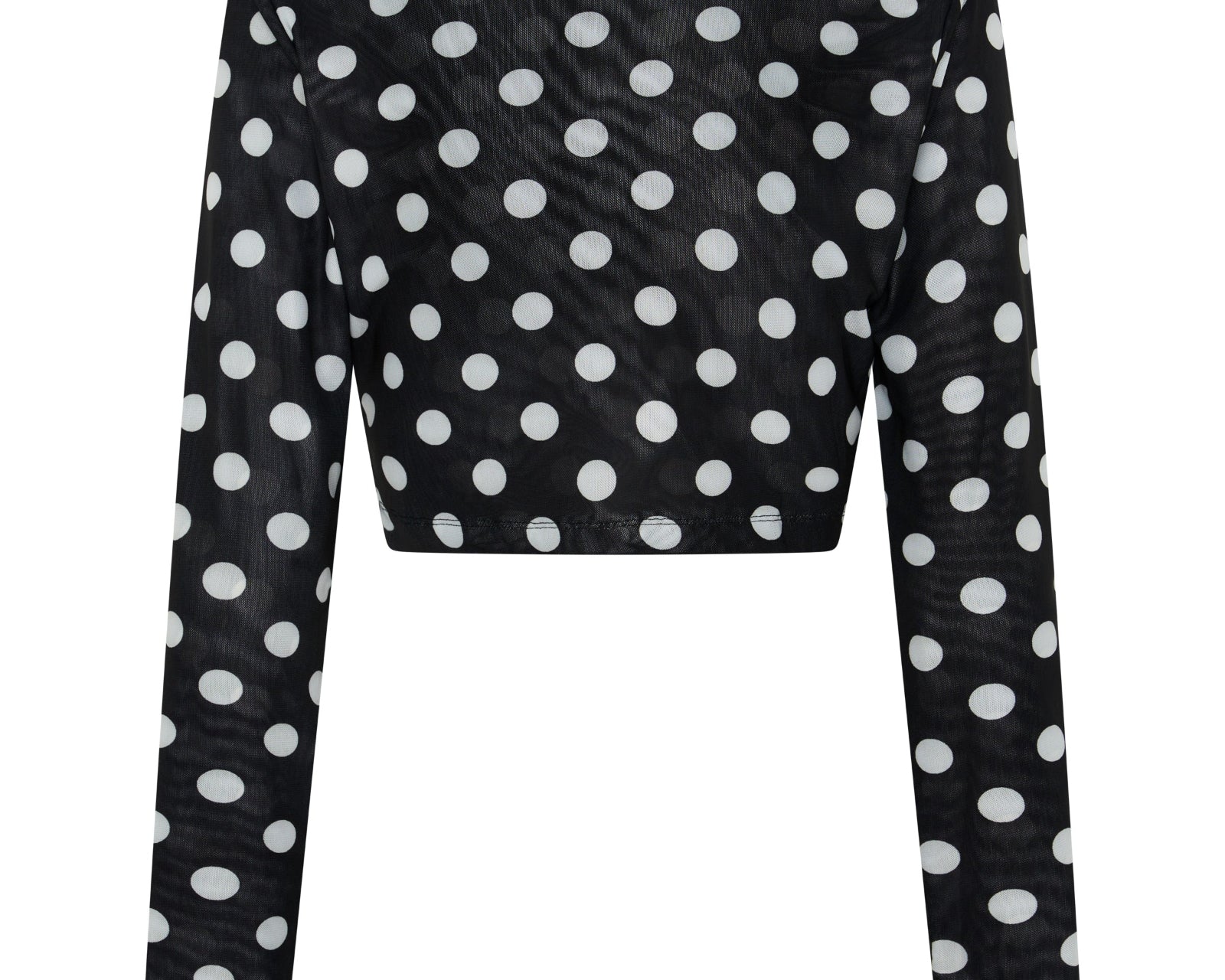 Polka Darling Sheer Mesh Longsleeve Crop Top - Black & White Polka Dot