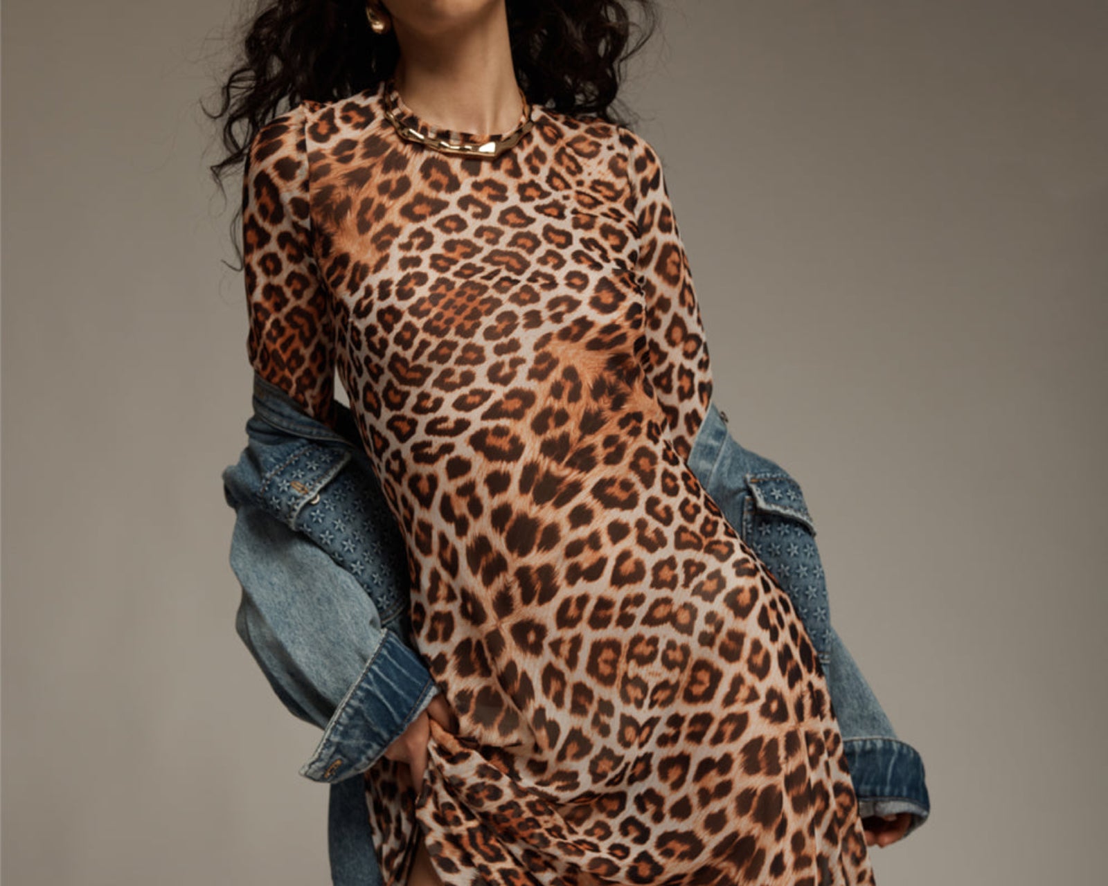 Ziggy Longsleeve Sheer Slip Maxi Dress - Leopard Print