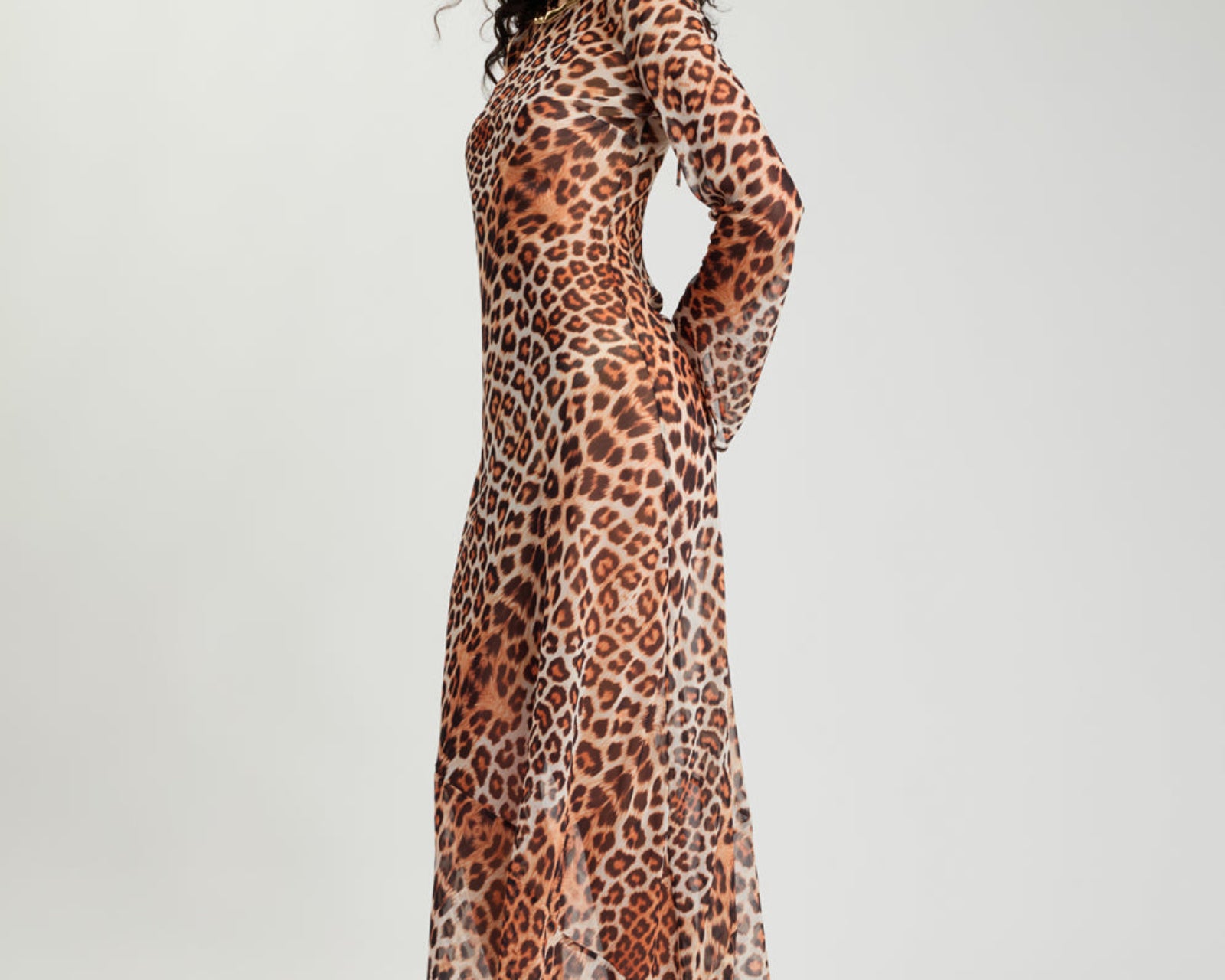 Ziggy Longsleeve Sheer Slip Maxi Dress - Leopard Print