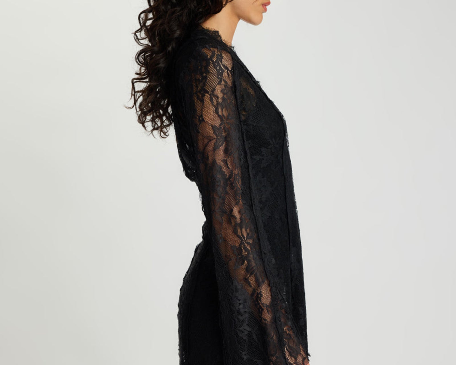 Vintage Whisper Lace Longsleeve Mini Dress - Black