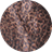 Night-Animal_Swatch